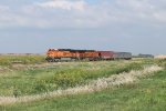 BNSF 7517 West